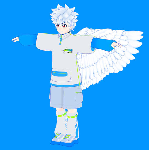 New human Sora model